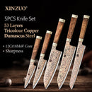 XINZUO TricoSteel Set - El poder del corte profesional en la palma de tu mano